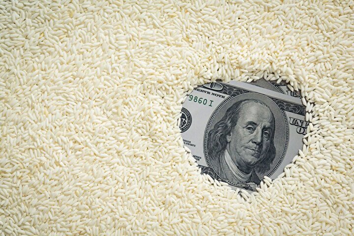 حذف ارز ترجیحی، واردات برنج بی‌کیفیت را متوقف می‌کند