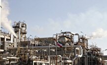 کدام پتروشیمی‌ها درآمد دلاری خود را در شهریورماه ۱۴۰۴ بالا بردند؟ +اینفوگرافیک