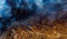 ۱۰ هکتار جنگل ابر شاهرود در چنگال آتش/ استمداد ۵۰ نیرو برای مهار حریق