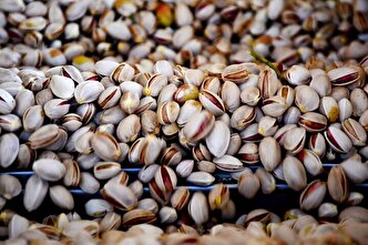 صادرات ۹۰ میلیون یورو پسته ایران به اتحادیه اروپا در ۹ ماه