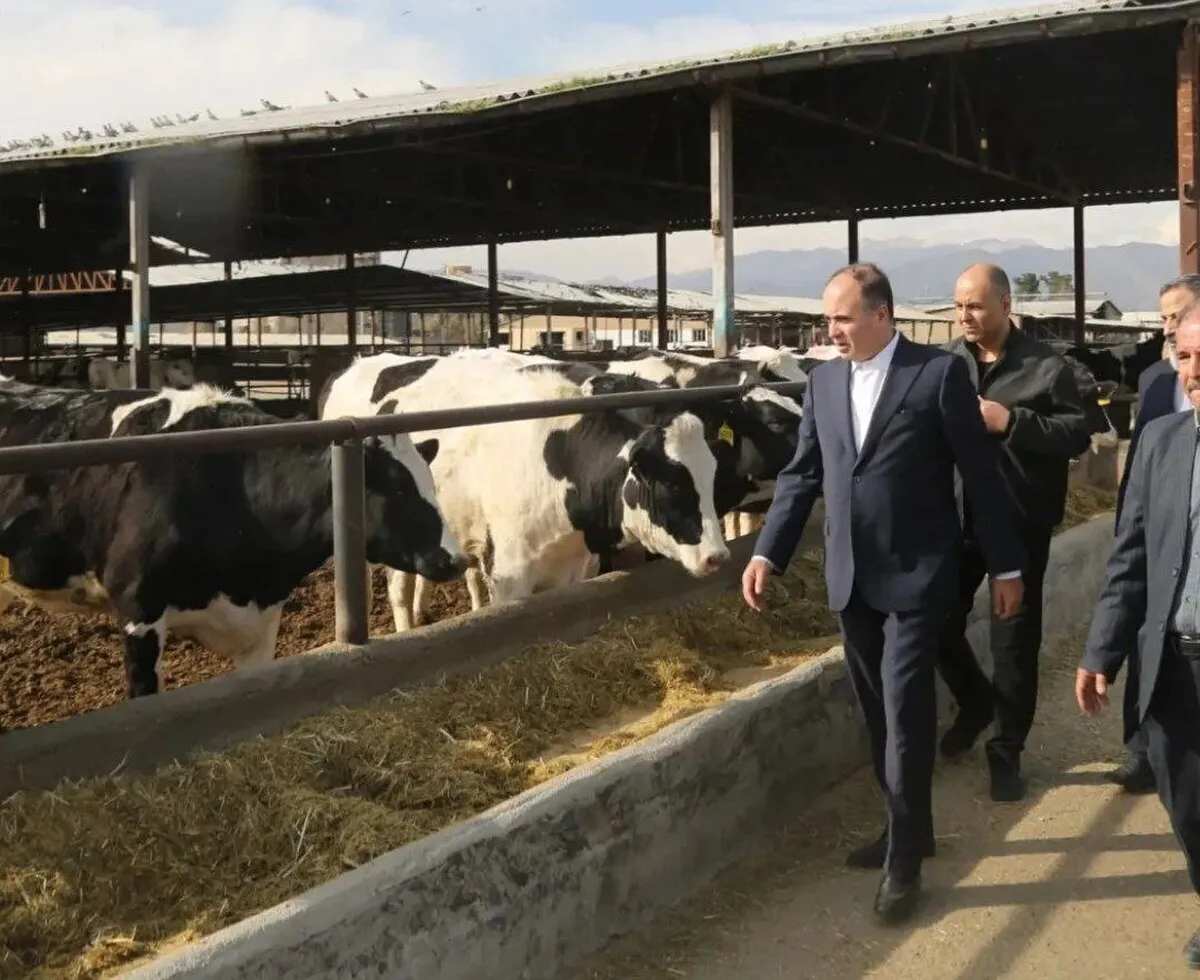 ۲۷ روز است در سامانه بازارگاه جو نیست؛ مسببان تب برفکی را محاکمه کنید