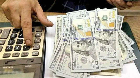 گودرزی: موضوع قیمت ارز در جلسه شورای اقتصادی سران قوا پیگیری می&zwnj;شود