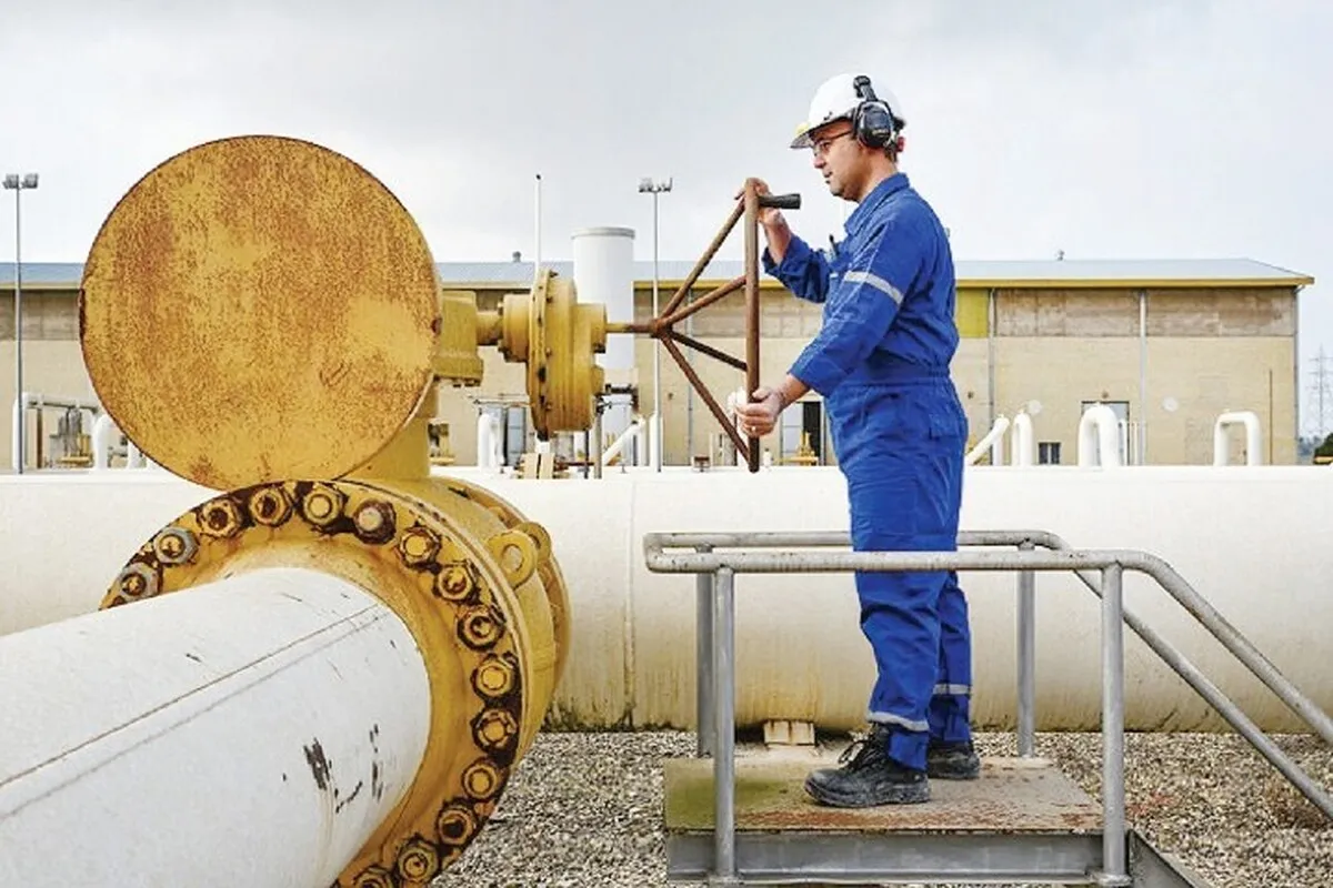 گره کور ناترازی انرژی با شرکت‌سازی باز نمی‌شود/ سازمان بهینه‌سازی را باید ذیل رئیس‌ جمهور تعریف کرد