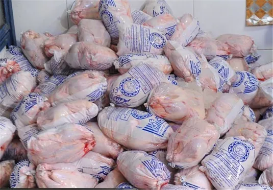 بررسی وضعیت تاب آوری و چالش های صنعت مرغ