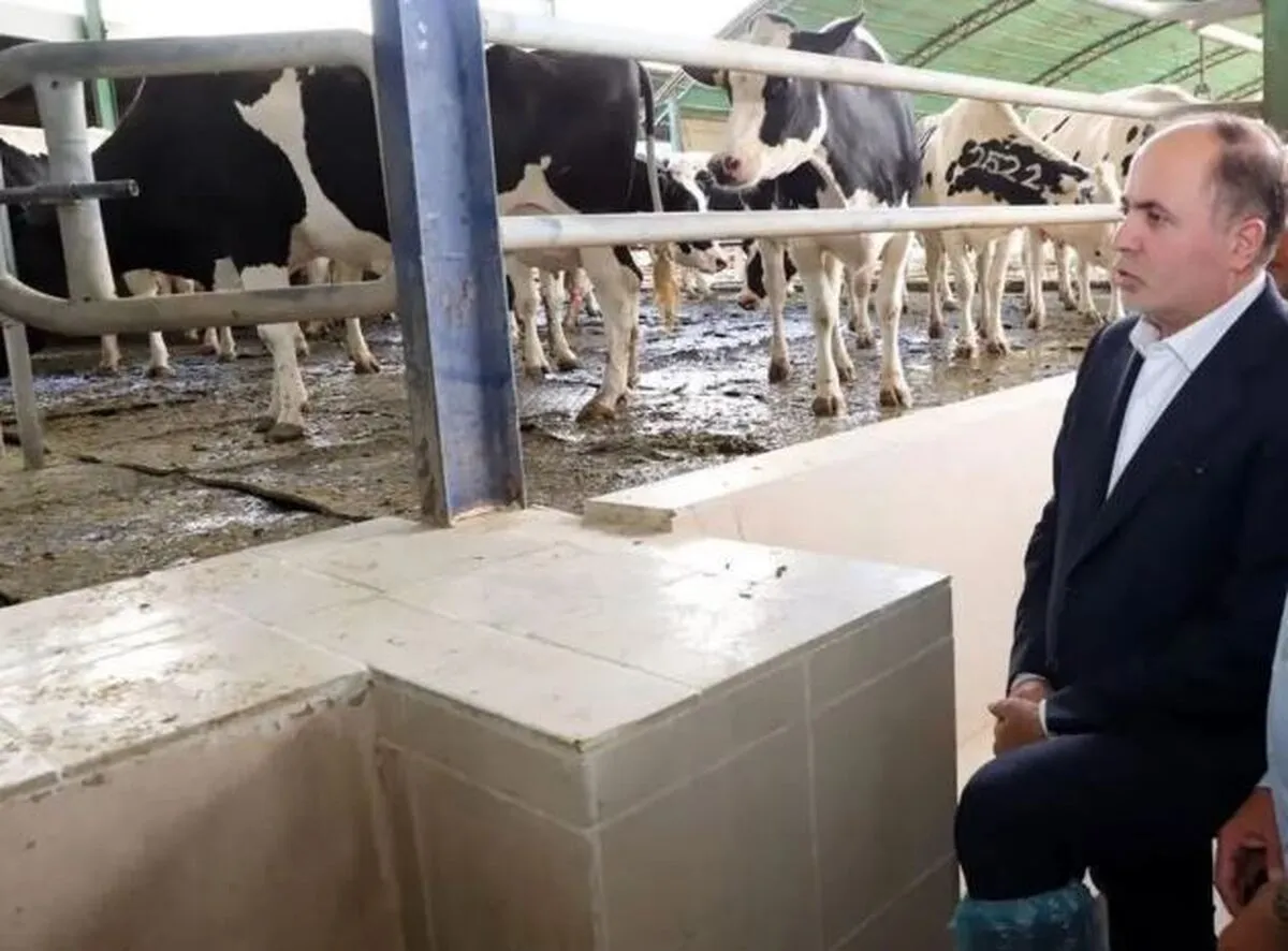 مجلس پای‌ِکار مساله نهاده؛ دولت موظف به تامین به‌موقع نهاده‌های دامیست