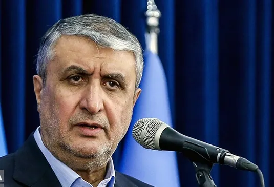 اسلامی: برنامه هسته&zwnj;ای ایران شفاف و تحت نظر آژانس است