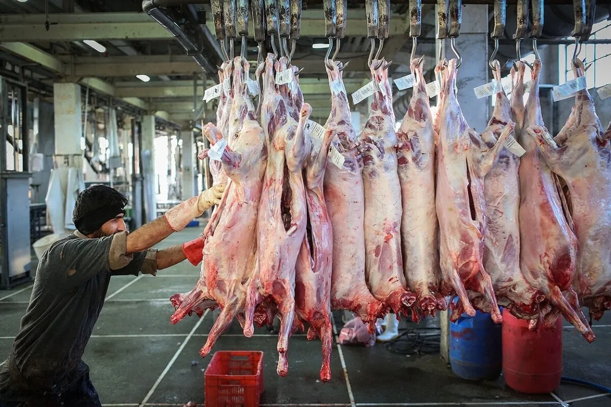وقتی گوشت گوسفندی تورم را رو سفید کرد/ رشد ۱۷۴۸ درصدی قیمت ظرف ۸ سال
