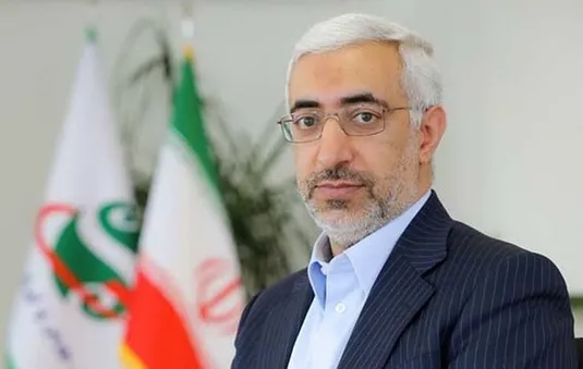 عشقی: سال ۹۹ حضور مستقیم مردم در بازار آفت&zwnj;های جدی داشت
