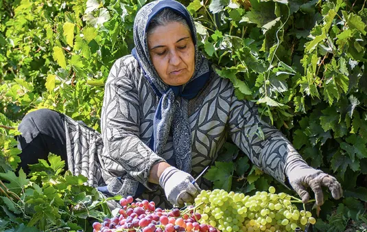 روستاها محور اصلی امنیت غذایی و تولید کشور هستند