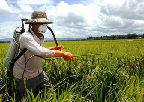 پیش‌شرط تسهیل تجارت کشاورزی در سازمان همکاری شانگهای مشخص شد