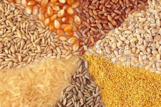 ۳ دلیل مخالفت با واردات نهاده از آمریکا