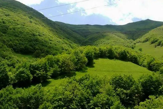 سازمان منابع طبیعی کشور مکلف به اجرای طرح جنگلداری نوین است