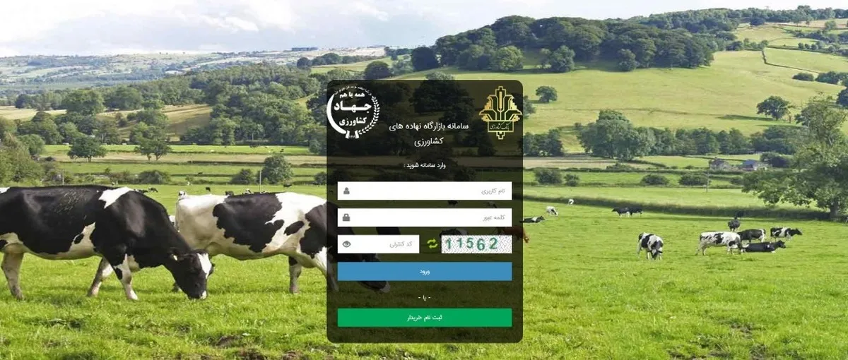 تولیدکنندگان در سامانه بازارگاه با ۸ هزار دلال طرف هستند