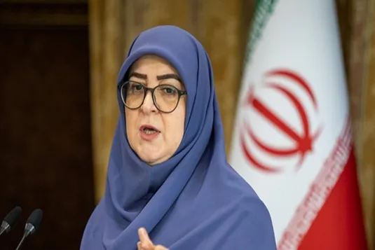 مهاجرانی: قیمت بنزین سهمیه&zwnj;ای تغییر نمی&zwnj;کند
