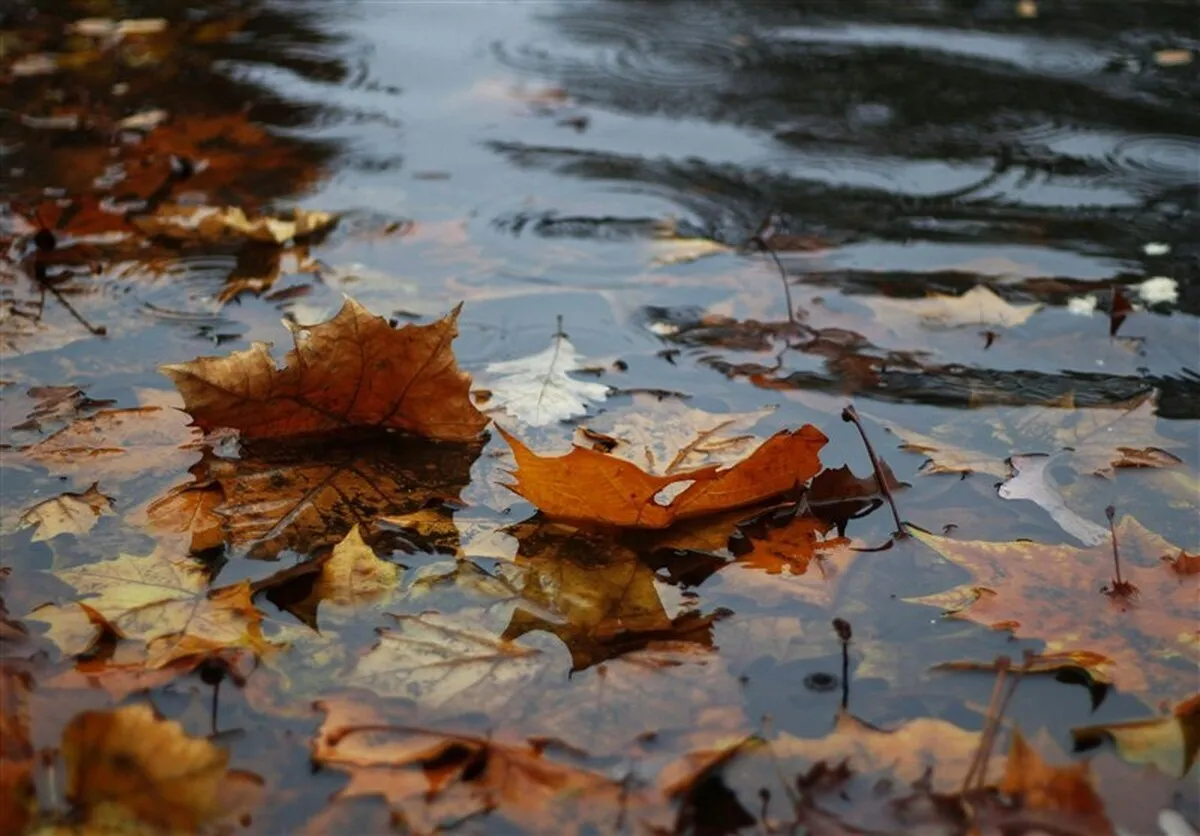 گزارش هواشناسی امروز ۵ مهر ۱۴۰۴