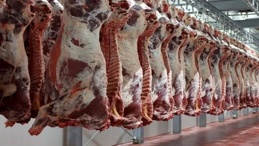 توقف واردات گوشت قرمز از استرالیا