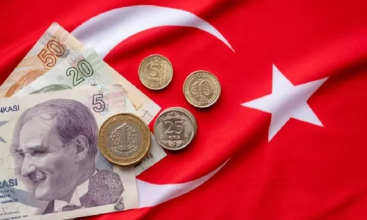 نقش شرکت&zwnj;های چندملیتی در توسعه اقتصاد ترکیه