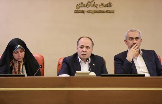 راه اندازی ساختار جدید برای نظارت بر بازار و قیمت&zwnj;ها