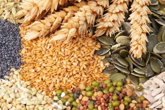 آسیب&zwnj;پذیری امنیت غذایی جهان از تنش&zwnj;های ژئوپلیتیکی