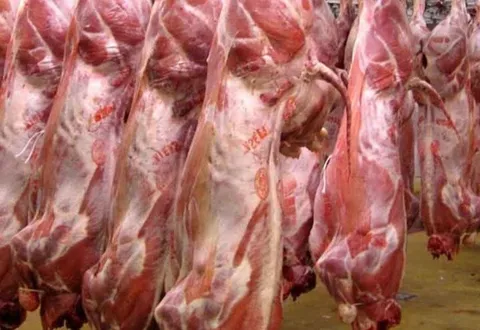 ثبات در تولید و عرضه گوشت
