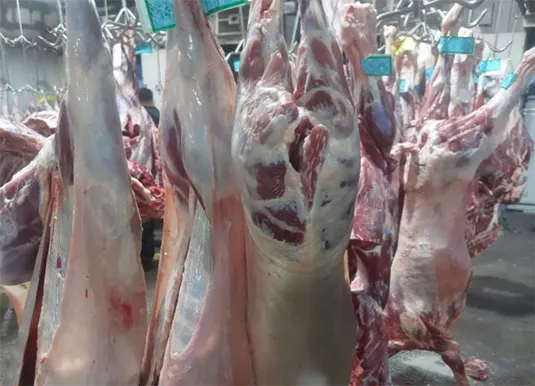 افزایش عرضه گوشت گرم و منجمد با آغاز پائیز