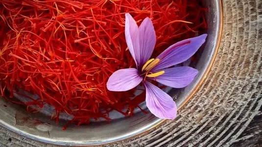 صادرات ۸۵ درصد زعفران کشور؛ ۱۰۰ تن قاچاق می&zwnj;شود