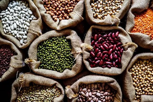 پیش بینی افزایش تولید حبوبات در سال ۱۴۰۵