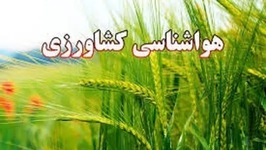 تامین سوخت مورد نیاز واحد&zwnj;های مرغداری و دامداری امری ضروری است
