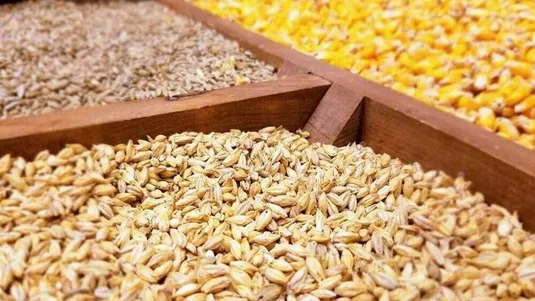 طی روز&zwnj;های آتی نهاده مورد نیاز تولیدکنندگان تامین می&zwnj;شود