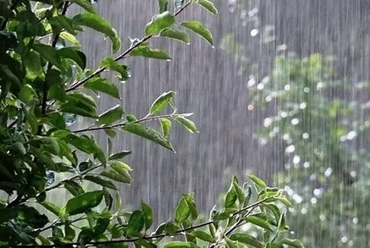 هشدار نارنجی هواشناسی برای این استان&zwnj;ها