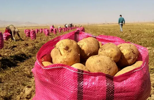 مسیر توانمندسازی کشاورزی ایران با فناوری هسته&zwnj;ای