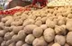 سیب زمینی ارزان راهی بازار می‌شود