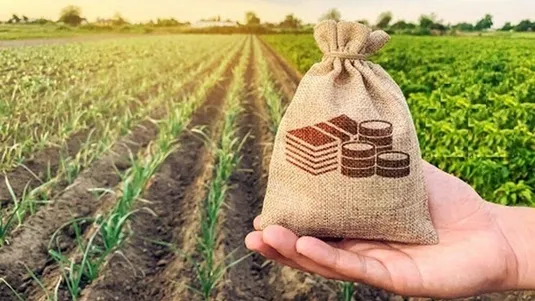 روستائیان تا ۵۰۰ میلیون تومان وام می&zwnj;گیرند