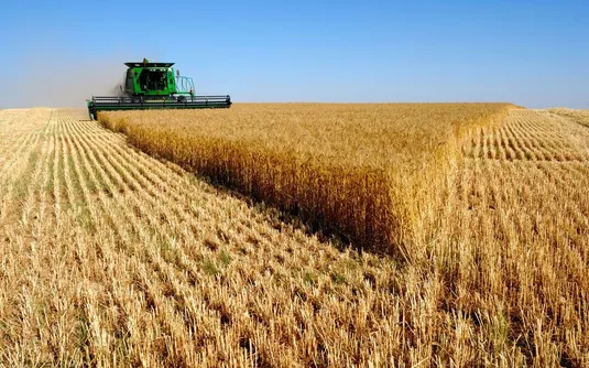 ارز ترجیحی به برنج نمی&zwnj;رسید قیمت آن امروز پایین&zwnj;تر بود