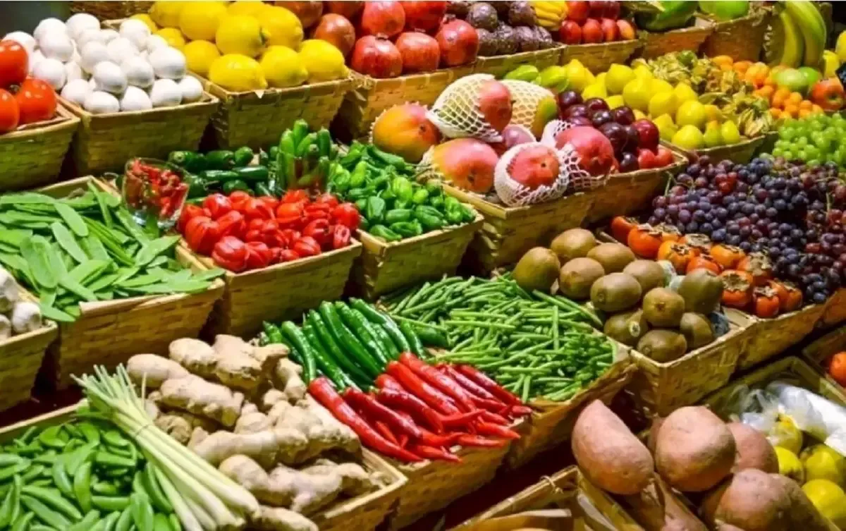 ایران در تولید ۱۷ محصول کشاورزی جزو ۱۰ کشور نخست جهان