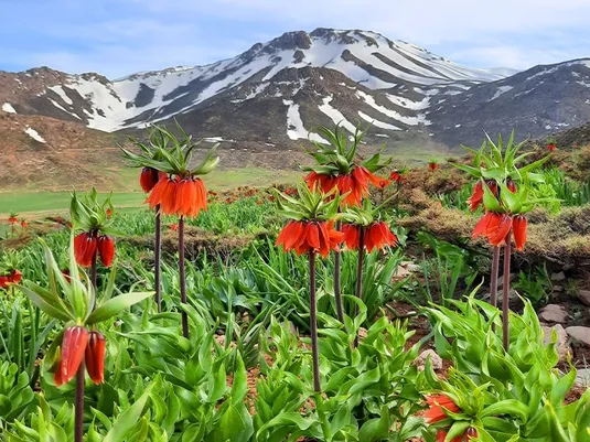 تقویت اعتبارات برای احیای مراتع