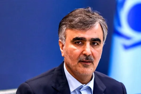 فرزین: ایران عضو و سهامدار بانک بریکس می&zwnj;شود