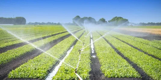 معافیت&zwnj; تعهدات ارزیِ بخش کشاورزی به ۵۰۰ هزار یورو افزایش یابد