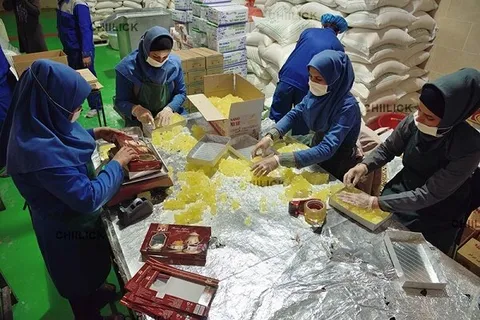 ۲۴۴ طرح تعاونی با بیش از ۲۸ هزار فرصت شغلی افتتاح شد