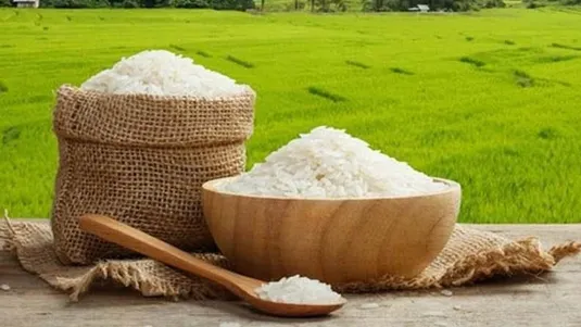 تولید برنج به ۲ میلیون و ۸۰۰ هزار تن می&zwnj;رسد