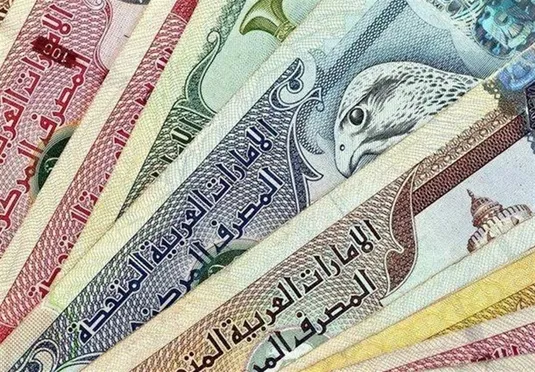 کاهش وابستگی به درهم و کنترل بانک&zwnj;های ناتراز زمینه&zwnj;ساز کنترل بازار ارز