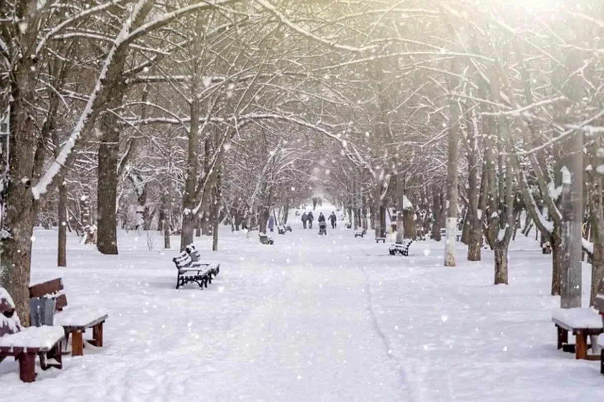 هواشناسی ایران ۱۴۰۴/۹/۲۸؛ تداوم بارش در برخی مناطق/ هشدار یخ‌زدگی در ۱۹ استان