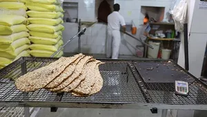 شکاف شدید میان قیمت نان یارانه‌ای و آزادپز؛ تخلف نانوایان در شهریورماه رکورد زد