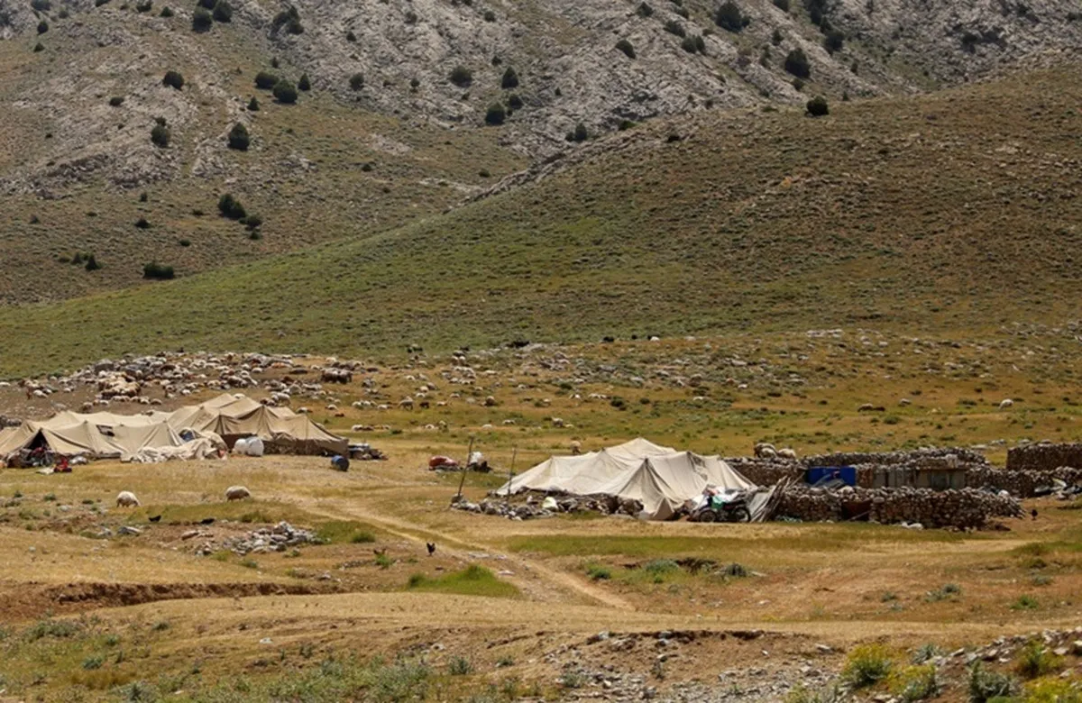 حمایت ۳۰ هزار میلیارد ریالی وزارت کشور از عشایر در شرایط خشکسالی