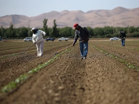 جنگ کود کشاورزان آمریکا را هم گران کرد؛ آمریکایی‌ها غیراز بنزین منتظر گرانی غذا باشند
