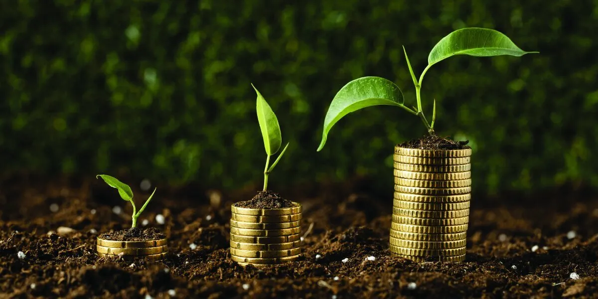 اقتصاد دولتی مانع سرمایه‌گذاری خصوصی؛ با نرخ‌گذاری دستوری به رشد تولید نمی‌رسیم