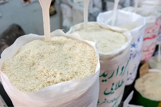 راز گرانی برنج مشخص شد