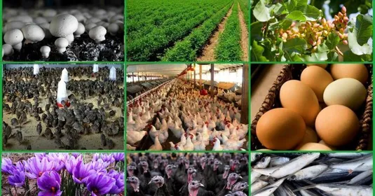 تمرکز جهاد کشاورزی بر احیای جایگاه تولیدی روستا&zwnj;ها