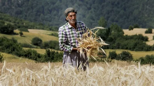 از امنیت غذایی تا اشتغال پایدار؛ نقش کلیدی کشاورزی در اقتصاد مقاومتی