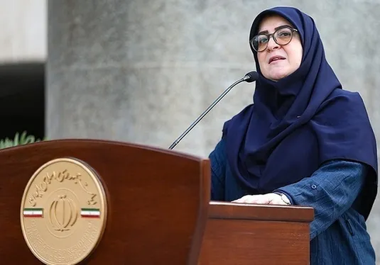 شیوه جدیدی برای مقابله با اسنپ بک اتخاذ کردیم/ دولت از نوسان قیمت&zwnj;ها با خبر است